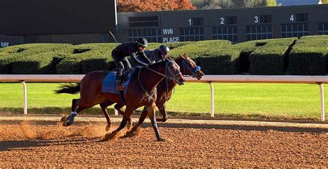 oaklawn anywhere|oaklawn anywhere past performances.